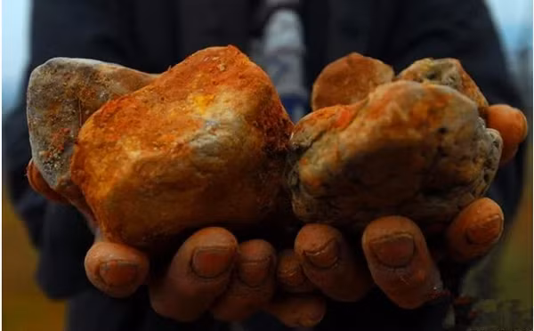 Một lão nông khi đang đi lên núi đã đào được rất nhiều viên đá màu vàng kỳ lạ. Sau đó, người này còn bán chúng đi và thu được rất nhiều tiền.