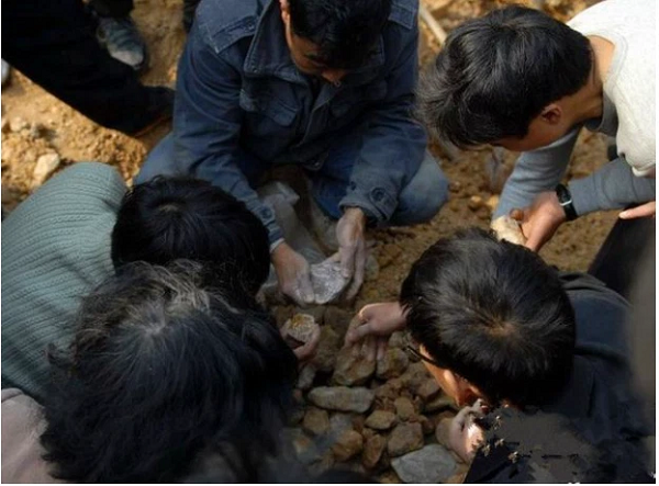 Quả thực, có một số người đào được những viên đá khá giống với thứ mà lão nông tìm thấy. Do đó, mọi người lại càng hừng hực khí thế, không ai muốn bị vuột mất cơ hội đào được kho báu cả.