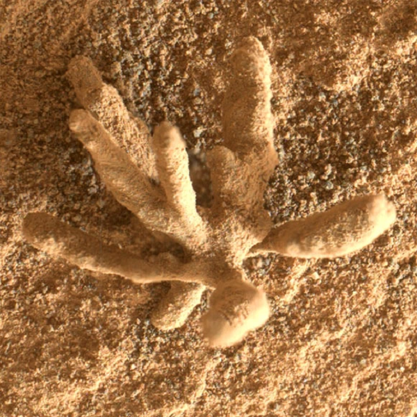 Sau khi nghiên cứu sơ bộ, các nhà khoa học kết luận rằng những mẫu vật này được tạo ra từ xa xưa khi các khoáng chất do nước mang đến và làm kết dính đá.