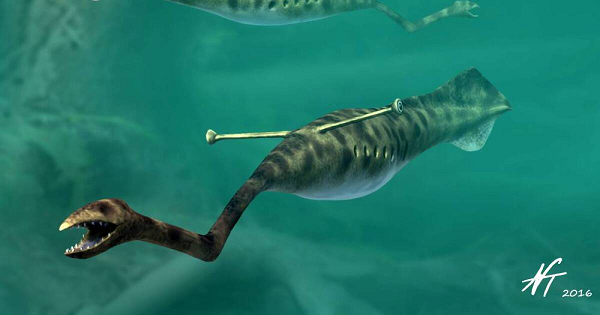 Mặc dù các nhà khoa học có thể không bao giờ phân loại được quái vật Tully một cách chính xác, nhưng nó chắc chắn là một trong những sinh vật thú vị nhất mà thế giới từng biết đến.