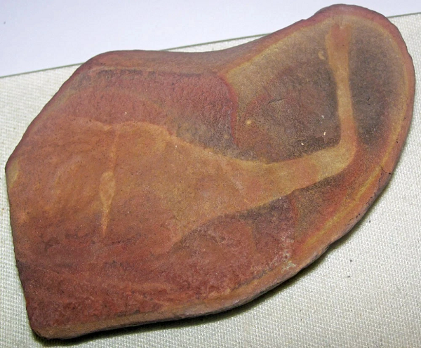 Năm 1955, khi đang đi dạo dọc con lạch Mazon Creek, tiểu bang Illinois (Mỹ), nơi nổi tiếng với việc nhiều hóa thạch được tìm thấy, nhà khảo cổ người Pháp Francis Tully đã vô tình thấy nằm giữa đống quặng than là 2 hai phiến đá kỳ lạ, bị vỡ tách ra.