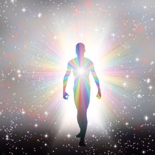 Bác sĩ Brian L. Weiss đã được bổ nhiệm làm Giám đốc Tâm thần học tại Trung tâm Y tế Sinai ở Miami.