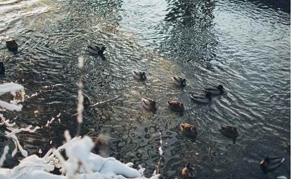 Nép mình trong khu vực Kivallig của vùng nông thôn Nunavut ở Canada, hồ Anjikuni - Nunavut, Canada được mệnh danh là Ngôi làng của người chết. Vùng đất bí ẩn này chứng kiến hàng loạt sự biến mất không giải thích diễn ra trong hàng trăm năm, câu chuyện nổi tiếng nhất vào tháng 11/1930.