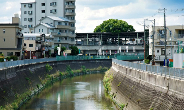 Qua nhiều lần tranh cãi, cuối cùng, giới chức địa phương đã đồng ý giữ lại cây cổ thụ. Tới năm 1980, việc cải tạo nhà ga đã hoàn thành. Nhờ sự bảo vệ mạnh mẽ có phần tâm linh của người dân, cây long não vẫn tồn tại.