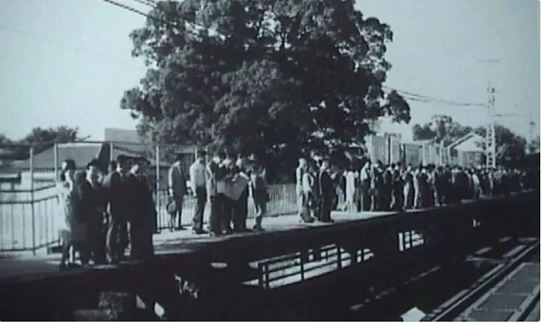 Những tán cây mọc vươn ra khỏi mái nhà ga, đó là cây long não khoảng hơn 700 năm tuổi. Nó được biết tới với tên gọi "The Big Kusu of Kayashima" (tạm dịch: cây Kusu đại thụ của Kayashima).