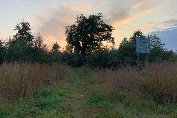 Theo người dân địa phương, có người cho biết đã nghe nhiều nhân chứng kể về việc tận mắt nhìn thấy những thi thể treo lơ lửng trên cành cây. Nhưng sự thật là một trường trung học địa phương đã treo hình nộm của đội bóng đối thủ lên những cành sồi thấp, khiến người dân hiểu lầm.