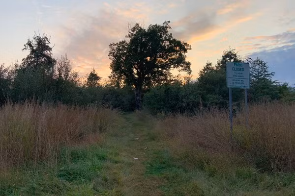 Theo người dân địa phương, có người cho biết đã nghe nhiều nhân chứng kể về việc tận mắt nhìn thấy những thi thể treo lơ lửng trên cành cây. Nhưng sự thật là một trường trung học địa phương đã treo hình nộm của đội bóng đối thủ lên những cành sồi thấp, khiến người dân hiểu lầm.