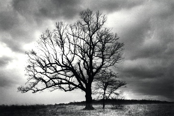 Ku Klux Klan là một nhóm những người Mỹ da trắng thù ghét, nhắm tới mục tiêu chính là người Mỹ gốc Phi. Một câu chuyện đáng sợ hơn nói rằng những hồn ma của người Mỹ gốc Phi đã ám khu vực này.