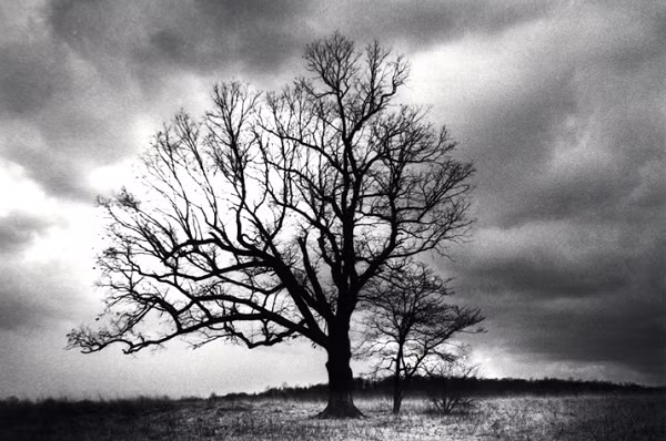 Ku Klux Klan là một nhóm những người Mỹ da trắng thù ghét, nhắm tới mục tiêu chính là người Mỹ gốc Phi. Một câu chuyện đáng sợ hơn nói rằng những hồn ma của người Mỹ gốc Phi đã ám khu vực này.