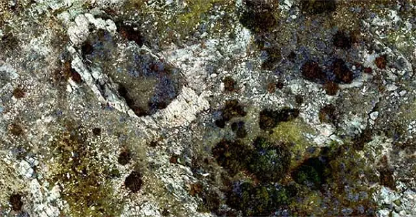 Một nhóm các nhà khoa học địa chất Mỹ và Đức đã tìm thấy hàng loạt miệng hố va chạm trong các lớp trầm tích 280 triệu năm trước, loại cấu trúc trước đây chỉ tìm thấy ở các hành tinh khác.