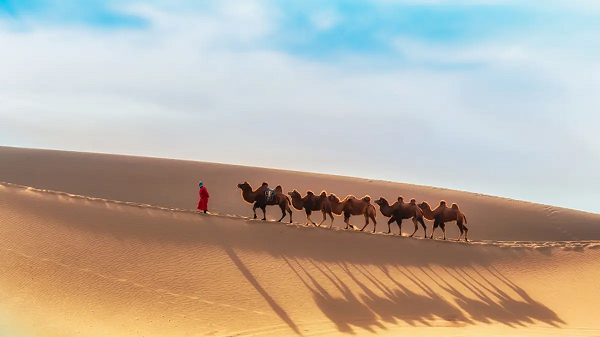 Quái thú khổng lồ này đã tồn tại song song với 2 loài người cổ đại từng chiếm lĩnh vùng đất khắc nghiệt này: người Neanderthals và Denisovans.