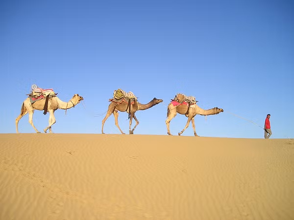 2 loài cùng thuộc chi Người (Homo) với người hiện đại Homo sapiens chúng ta, và nổi tiếng là những thợ săn thiện chiến.