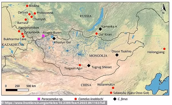 Tuy nhiên, cuối cùng thiên nhiên đã kết thúc phần việc còn lại lên nhóm cá thể ít ỏi cuối cùng.