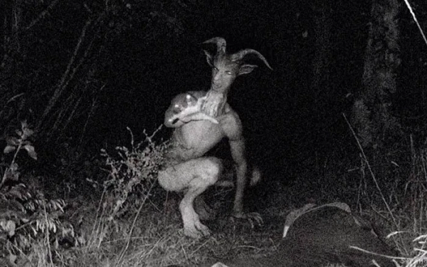 Quái vật Jersey được cho là đã được một người ở Pine Barrens, miền Nam New Jersey nhìn thấy và bắt đầu có những câu chuyện về nó từ những năm 1800 cho đến đầu thế kỷ 20.