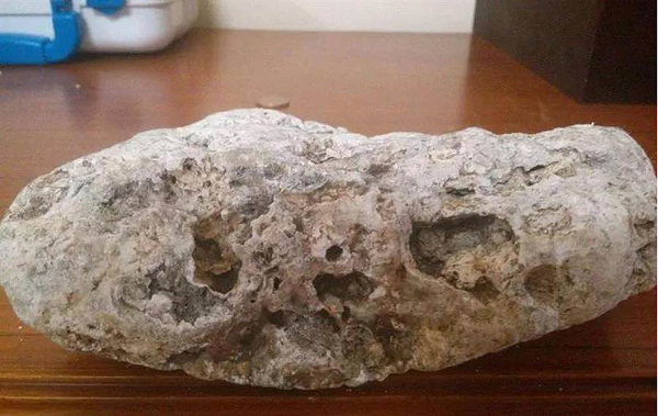 Nhiều người cho rằng long diên hương là phân của cá nhà táng. Tuy nhiên, nói một cách chính xác thì long diên hương không hẳn là phân, nó có dạng chất sáp với thành phần là chất béo.