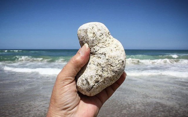 Long diên hương sau đó được bài tiết ra ngoài cùng với phân và có mùi tương tự phân khi mới được thải ra. Vậy nên, gọi đó là một loại phân hiếm của cá nhà táng cũng không sai.