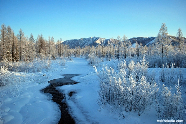 Vào thời điểm nhiệt độ xuống thấp thì bề mặt những hồ nước ở Yakutia sẽ bị đóng băng rất dày. Người dân làng sẽ cùng nhau mang những vật dụng như xiên hay vợt, lưới đánh cá... ra hồ băng để bắt cá.