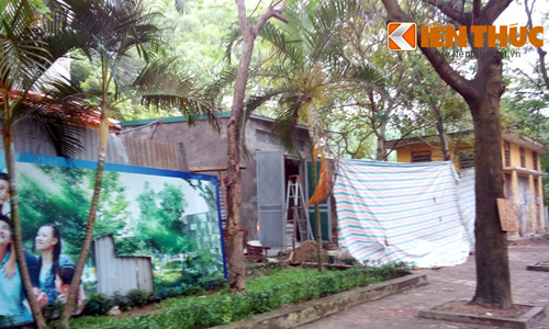 Nha “o chuot” ngang biet thu Benh vien 103 gio the nao?-Hinh-4