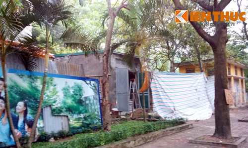 Nha “o chuot” ngang biet thu Benh vien 103 gio the nao?-Hinh-4