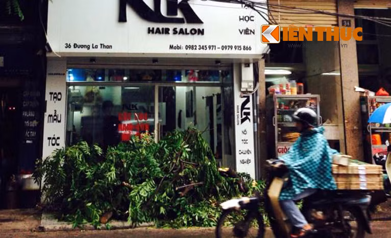 Cay xanh bat ngo bat goc giua dem o Ha Noi