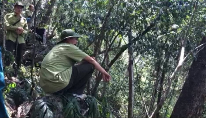 Để lâm tặc tàn phá rừng Chiềng Khừa: "Hạt kiểm lâm huyện Mộc Châu phải chịu trách nhiệm" - Hình 3 De lam tac tan pha rung Chieng Khua: