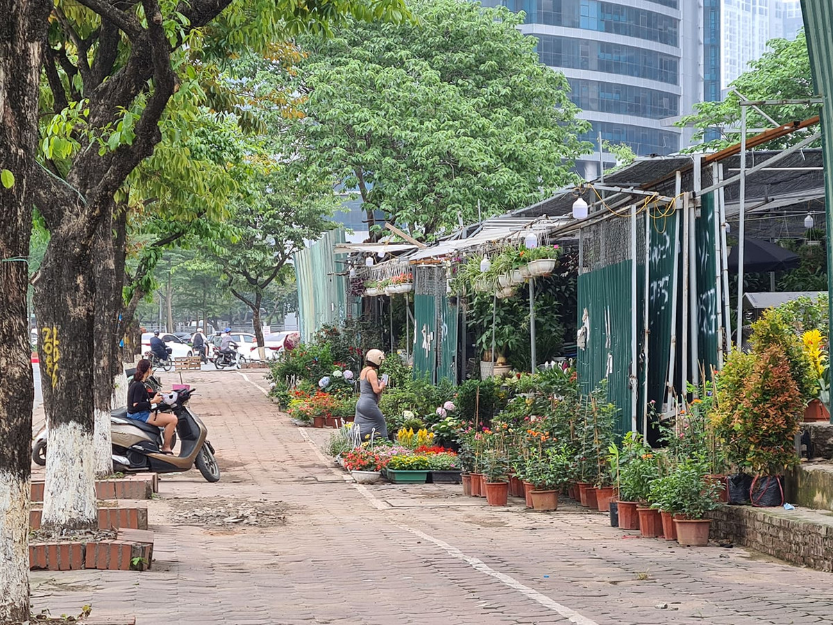 Ha Noi: Lo dat D22 Dich Vong Hau bi “xe thit” kinh doanh sai muc dich?-Hinh-2