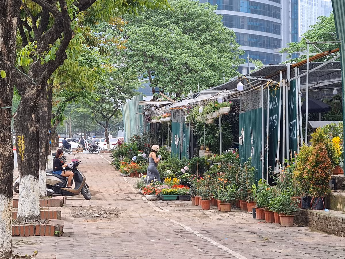 Ha Noi: Lo dat D22 Dich Vong Hau bi “xe thit” kinh doanh sai muc dich?-Hinh-2