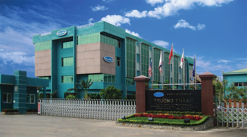 Go Truong Thanh lo hon 3.000 ty, dai gia Mai Huu Tin tung “chieu” gi giai cuu?