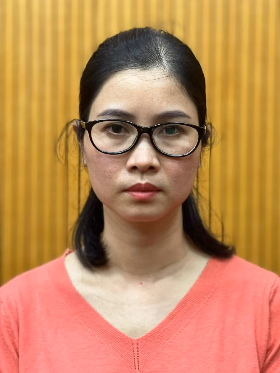 Tại Ban Đối ngoại Trung ương có 1 bị can bị khởi tố nhận hối lộ là Lê Thị Ngọc Anh – Chuyên viên phòng nhà khách, Vụ Lễ tân, Ban Đối ngoại Trung ương bị khởi tố ngày 27/10.