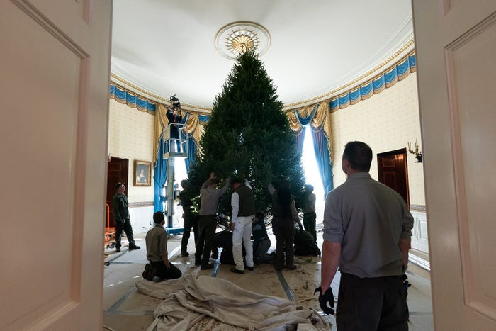 Phòng Lam nổi bật với cây thông cao hơn 5,5 m đến từ một trang trại ở Pennsylvania.