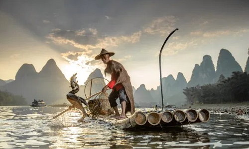 Theo The Sun, nhiếp ảnh gia Julia Wimmerlin, 42 đến từ Kiev (Ukraine), đã ghi lại cảnh ngư dân Trung Quốc đánh cá bằng chim cốc trên sông Li ở Quế Lâm, Quảng Tây. (Nguồn ảnh: The Sun)