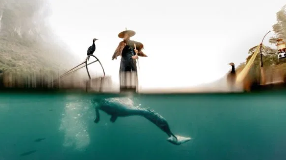 Khung cảnh tuyệt đẹp khiến nhiều người kinh ngạc.