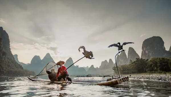 "Hầu hết ngư dân biết sử dụng chim cốc đánh cá nay đã ở độ tuổi 80 và người trẻ nhất cũng khoảng 60 tuổi", nhiếp ảnh gia Wimmerlin nói thêm.