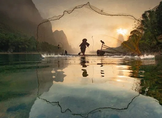 Người đánh cá cũng quăng lưới để bắt những con cá nhỏ hơn gần mặt nước.