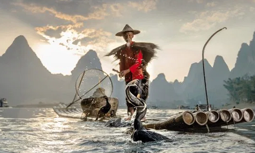 Cô để máy ảnh trong thiết bị chống nước rồi đặt xuống nước để chụp cảnh con chim cốc lao xuống sông khi một ngư dân nhìn theo nó.