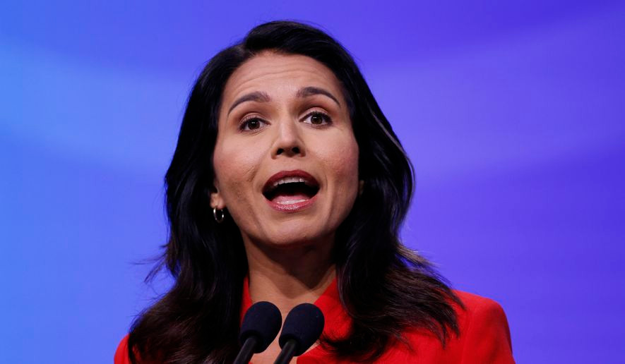 Từ tháng 1/2011 đến tháng 8/2012, bà là thành viên của Hội đồng thành phố Honolulu và là Phó Chủ tịch Ủy ban Quốc gia Dân chủ trong khoảng thời gian từ tháng 1/2013 đến tháng 2/2016.