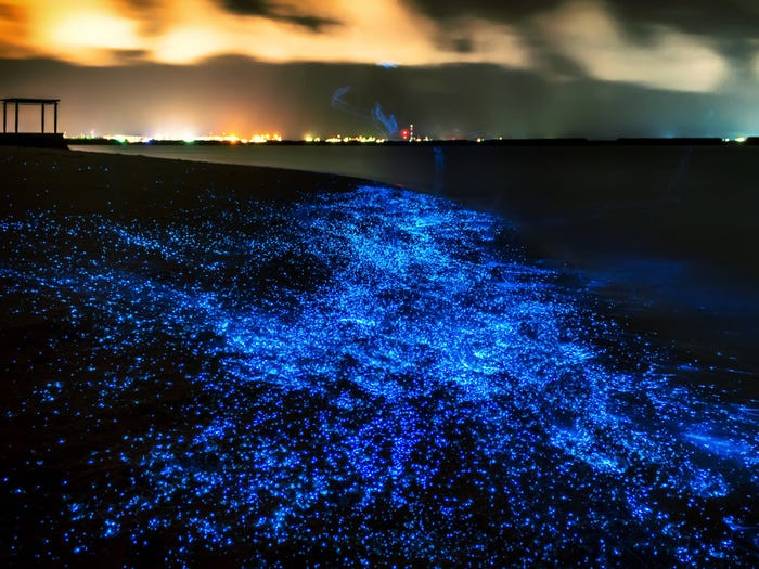 Bãi biển “lấp lánh ánh sao” Bioluminescent ở Maldives. Khi đêm xuống, hàng triệu sinh vật phù du có tên Phytoplankton sẽ phát quang màu sáng xanh, khiến bãi biển trở nên sáng lấp lánh như dải ngân hà.