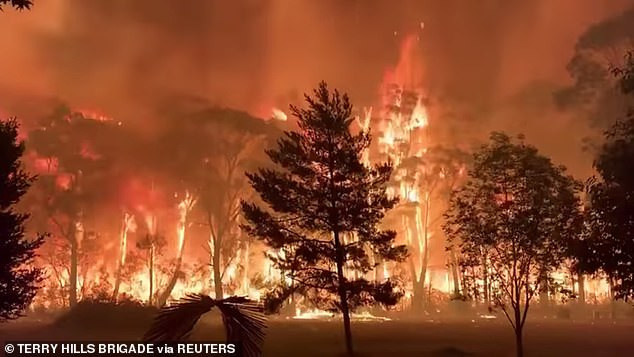 Trong những ngày này, nạn cháy rừng cũng hoành hành ở Australia, khiến ít nhất 6 người thiệt mạng và hàng trăm ngôi nhà bị phá hủy. Các quan chức cảnh báo nắng nóng có thể khiến tình trạng cháy rừng trầm trọng hơn và vượt ngoài tầm kiểm soát.