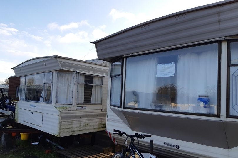 Giat minh noi o cua lao dong Viet trong vuon uom cay o Anh