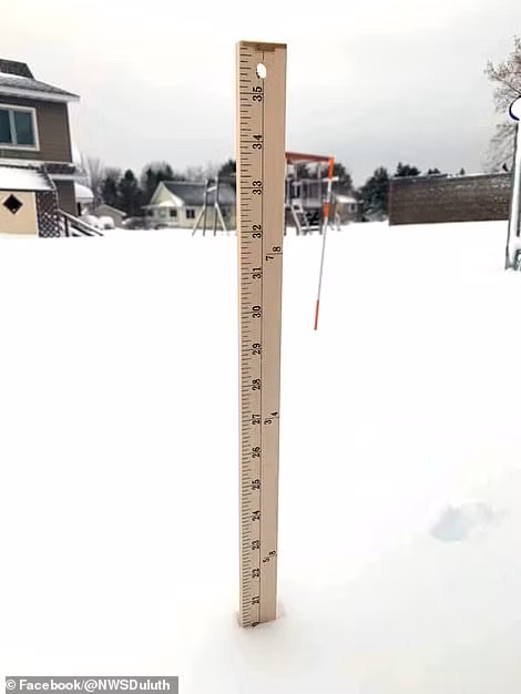 Toan canh nuoc My chim trong bang gia vi bao tuyet kinh hoang-Hinh-10