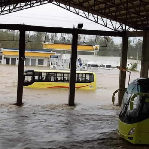 Những hình ảnh và video được đăng tải lên mạng xã hội cho thấy nhiều ngôi nhà bị phá nát, con đường chìm trong biển nước và cây cối đổ rạp xuống đường. Ảnh: Twitter.