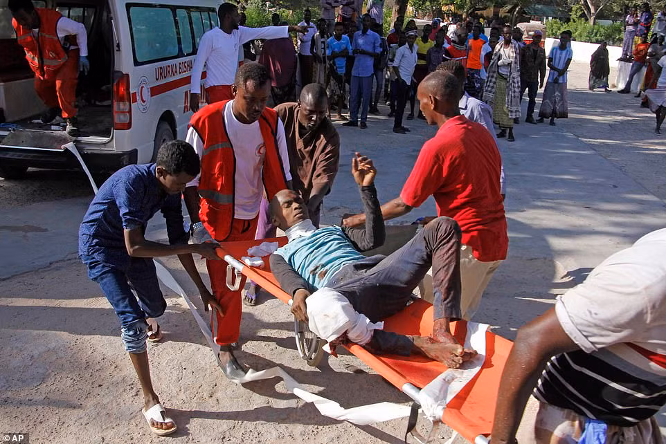 Bộ trưởng Ngoại giao Somalia Ahmed Awad xác nhận trên Twitter rằng hai kỹ sư người Thổ Nhĩ Kỳ nằm trong số những người thiệt mạng.