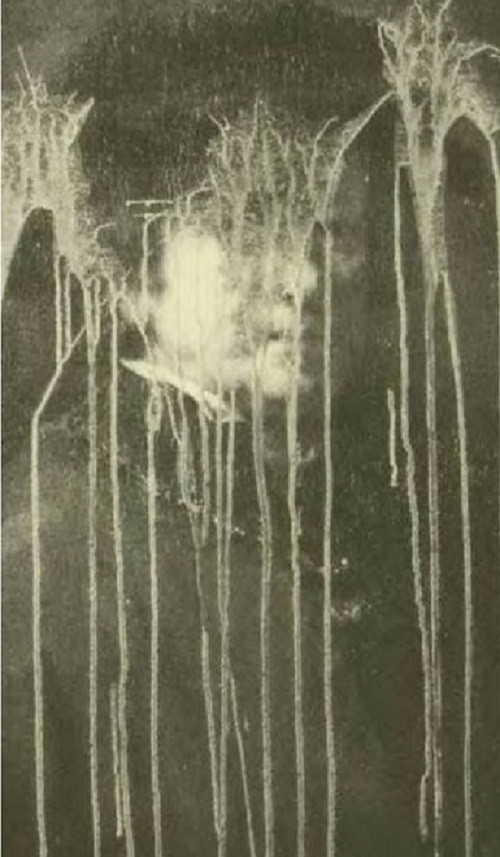 Hans-Joachim Bohlmann là một kẻ phá hoại nghệ thuật người Đức, từng gây ra thiệt hại hơn 138 triệu euro khi phá hủy nhiều tác phẩm nghệ thuật nổi tiếng của các nghệ sĩ như Rubens và Rembrandt. Ảnh: ACP.