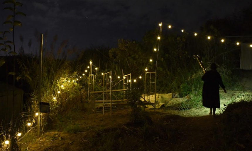 Khu vực đô thị của Trung Quốc đã thu hút hàng trăm triệu người đến từ các vùng nông thôn và thị trấn nhỏ với mong muốn tìm việc làm, nhưng những người như Yang lại là một phần của xu hướng mới nổi theo chiều hướng ngược lại.