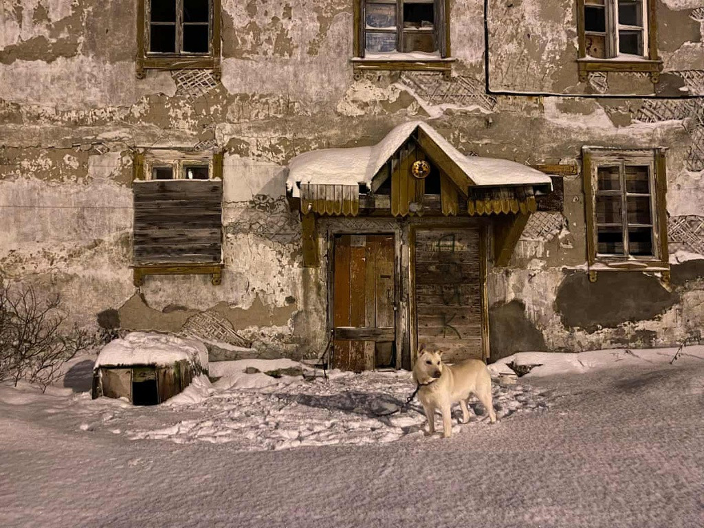 Một con chó bị xích bên ngoài ở Murmansk.
