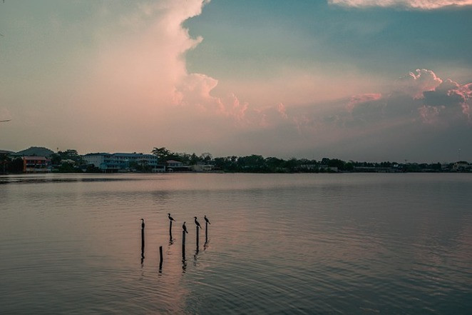 Thành phố Flores ở Guatemala được cho là được thành lập từ năm 1441 đến 1446. Các tòa nhà và đền thờ lịch sử là điểm nổi bật của thành phố này. Hiện tại, dân số của Flores là hơn 13.000 người.