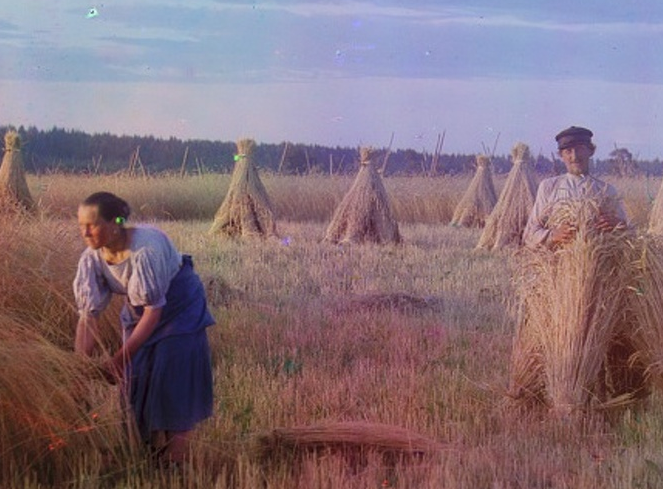 Những người nông dân làm việc trên cánh đồng.