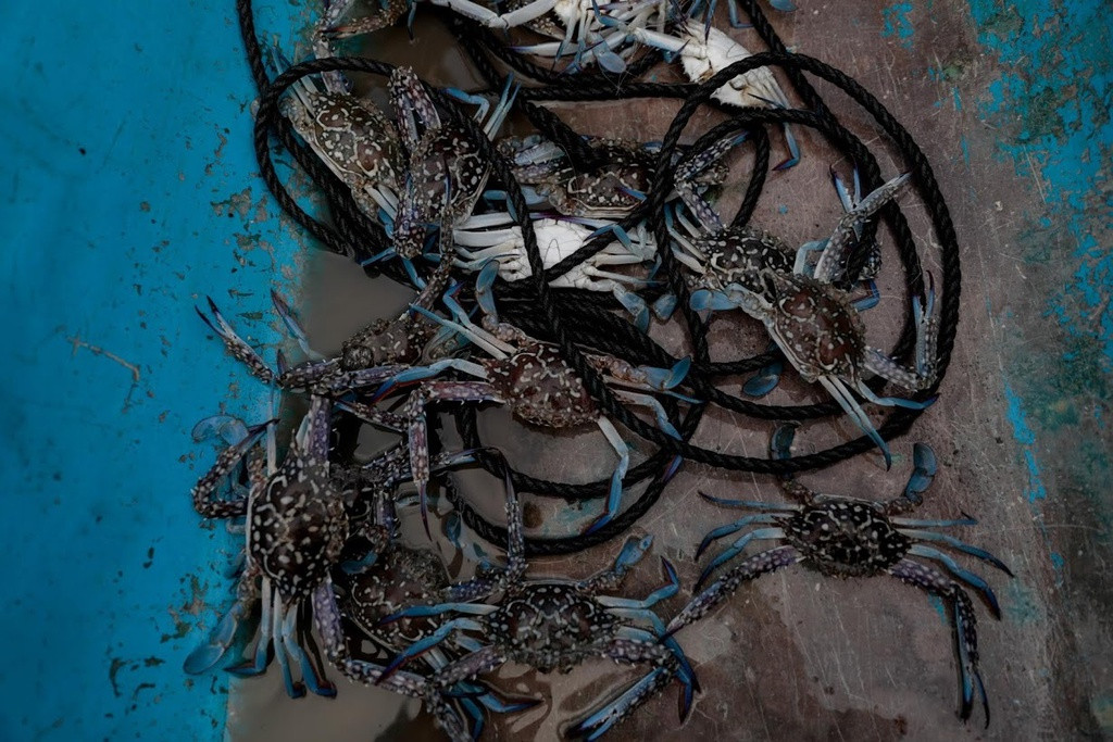 Vợ chồng Martinez dựa vào con thuyền để kiếm sống. Mary Jane Martinez, vợ của Domingo, bán cua bắt được ở chợ của thị trấn. Cô cho biết cuộc sống ở ngôi làng ngày càng khó khăn nhưng cô vẫn thích ở đây hơn vào thị trấn. "Nếu bạn làm việc chăm chỉ ở đây, bạn sẽ sống sót. Bạn chỉ phải nhảy xuống biển kiếm thức ăn. Ở đất liền, bạn có thể làm việc chăm chỉ mà vẫn không đủ ăn", cô nói.