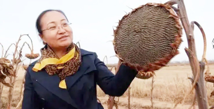 Món ăn vặt rẻ tiền “lên đời” thành hàng xa xỉ ở Dubai Mon an vat re tien “len doi” thanh hang xa xi o Dubai