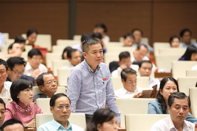 Đại biểu Nguyễn Lân Hiếu.